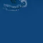 Esmalte semipermanente Inocos Turquesa Elétrica - 15ml - Imagen 2