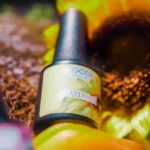 Esmalte semipermanente Inocos Flora Girassol - 15ml - Imagen 3