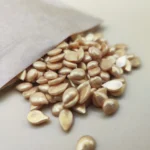 Cera En Perlas Oro 100grs