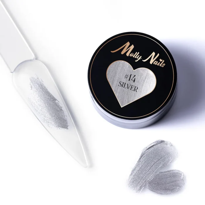 Molly Lac Pro Art Paste Hema/Di-Hema Free 5gr Silver