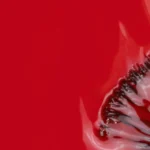 Esmalte semipermanente Inocos Outra Vez Meias? - 15ml - Imagen 3