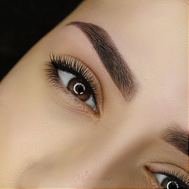 Tintes de Henna para Cejas Bigen: Color Natural, Duradero y Fácil de Aplicar